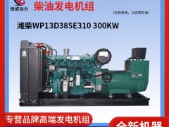 300KW濰柴柴油發(fā)電機組WP13D385E310視頻介紹