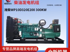 300KW濰柴WP10D320E200柴油發(fā)電機組視頻介紹