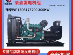 300KW濰柴WP12D317E200發(fā)電機組實物介紹視頻